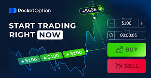 The Future of Investments Exploring the Pocket Option Trading Platform