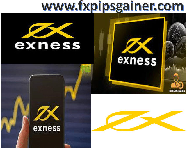 Understanding the Exness ECN Account Minimum Deposit 14